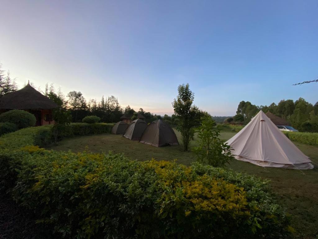 The Great Circle Lodge Nanyuki Exterior photo